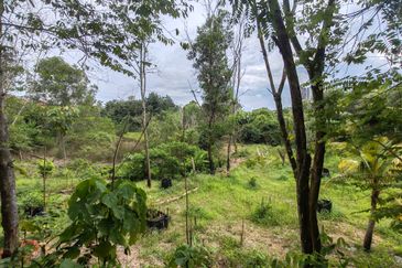 Taman Pelangi Semenyih 2