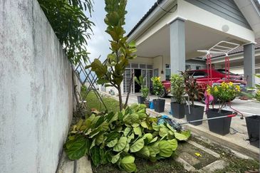 TAMAN NUSANTARA (YAN)