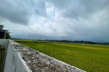 TAMAN NUSANTARA (YAN)