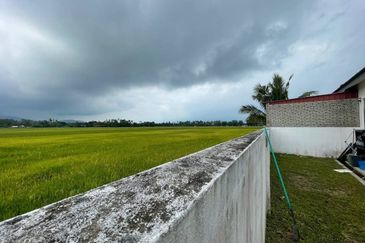 TAMAN NUSANTARA (YAN)