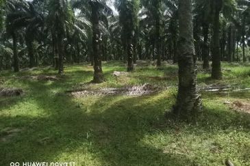 Agriculture Land @ Taiping