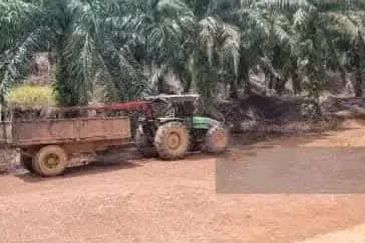 Agriculture Land @ Taiping