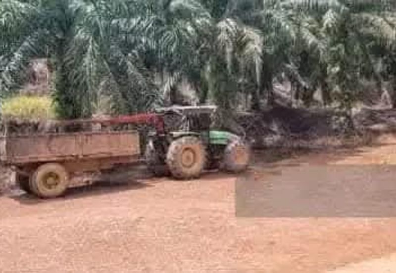 Agriculture Land @ Taiping