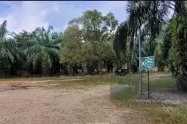 Agriculture Land @ Taiping