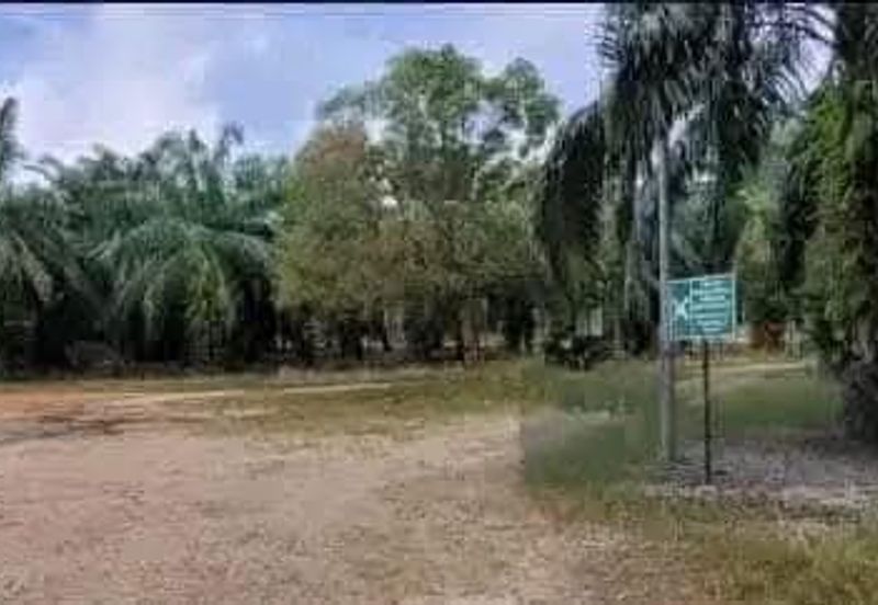 Agriculture Land @ Taiping