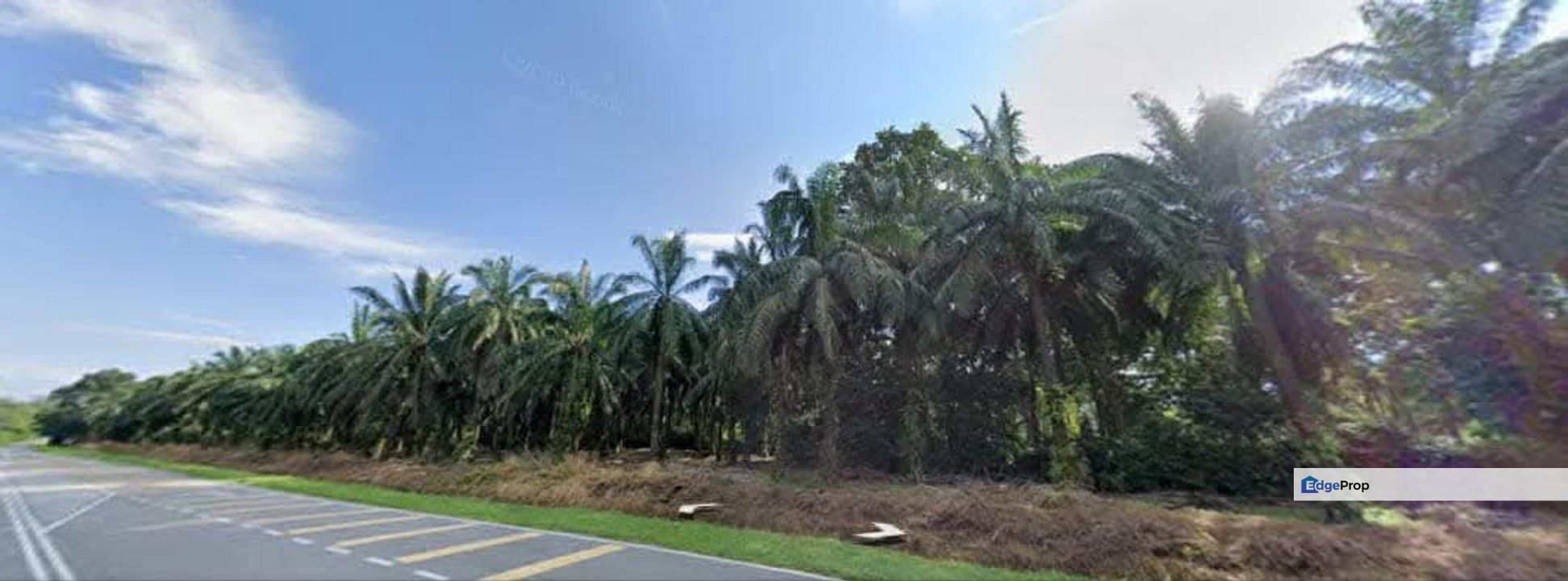 Jelai Taiping Perak 577 Acres Freehold Agriculture Land For Sale, Perak, Taiping