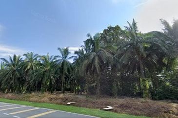 Agriculture Land @ Taiping