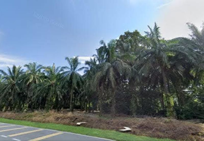 Agriculture Land @ Taiping