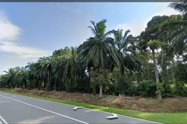 Agriculture Land @ Taiping