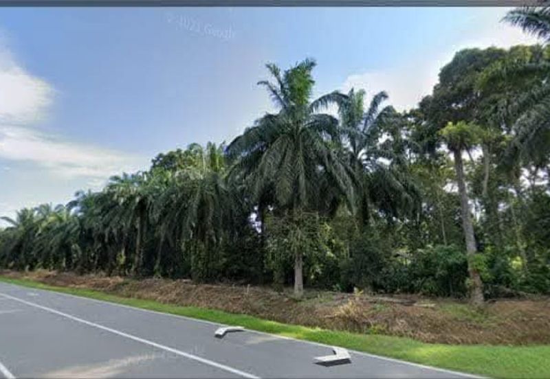 Agriculture Land @ Taiping