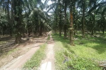 Agriculture Land @ Taiping