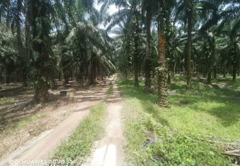 Agriculture Land @ Taiping