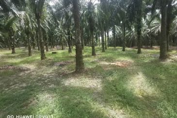 Agriculture Land @ Taiping