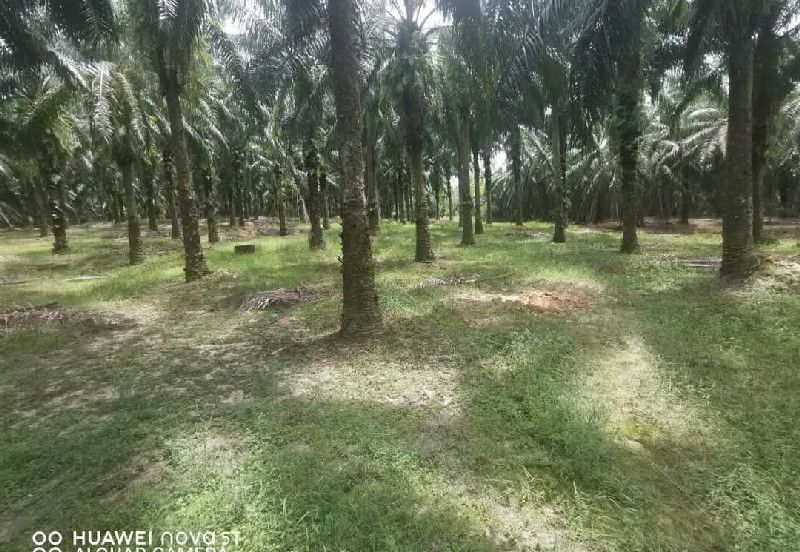 Agriculture Land @ Taiping