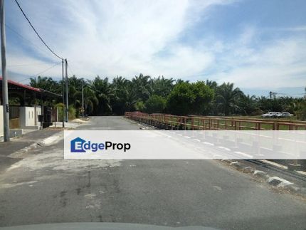 Perak Sitiawan Freehold 6 Acres Oil Palm Agriculture Land For Sales, Perak, Manjung