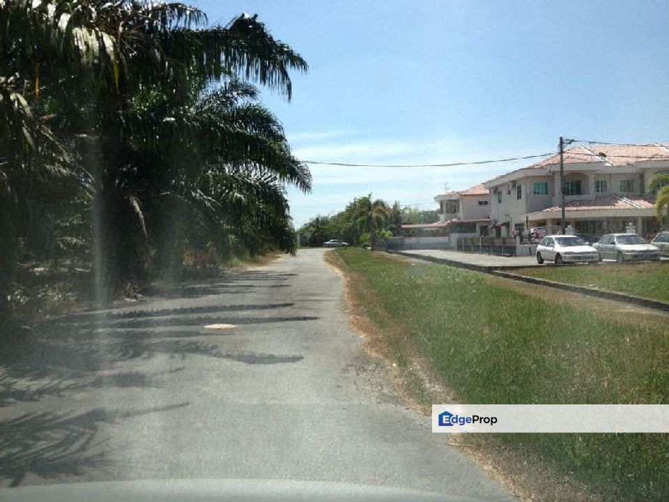 Perak Sitiawan Freehold 6 Acres Oil Palm Agriculture Land For Sales, Perak, Manjung