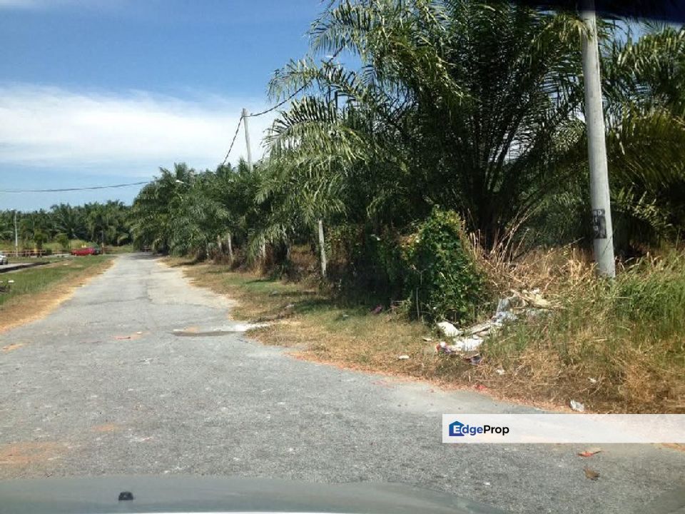 Perak Sitiawan Freehold 6 Acres Oil Palm Agriculture Land For Sales, Perak, Manjung