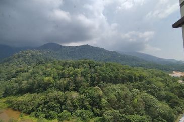 TAMAN MERU IDAMAN (SCIENTEX MERU)