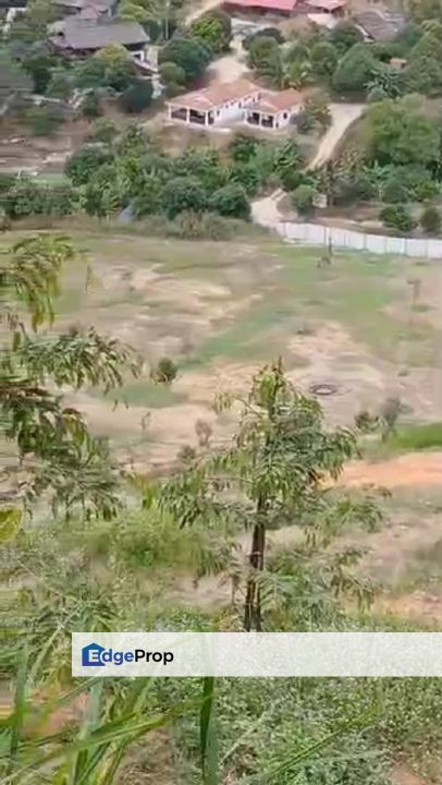 Sungai Raia Perak 11.5 Acres Durian Estate Agriculture Land For Sale, Perak, Ipoh