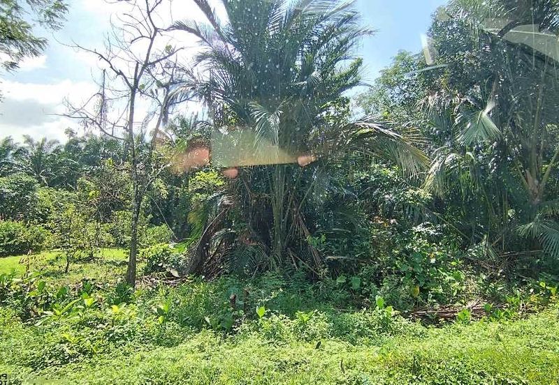 JALAN GOPENG - KUALA DIPANG