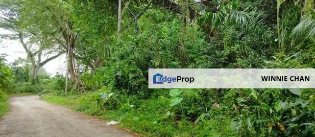 Ipoh Town 11 Acres Resident Land For Sale, Perak, Kinta