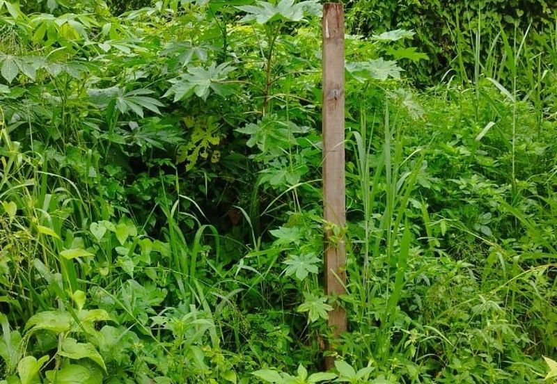 JALAN RAJA MUSA AZIZ (JALAN ANDERSON)