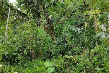 JALAN RAJA MUSA AZIZ (JALAN ANDERSON)