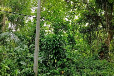 JALAN RAJA MUSA AZIZ (JALAN ANDERSON)