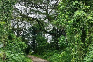 JALAN RAJA MUSA AZIZ (JALAN ANDERSON)