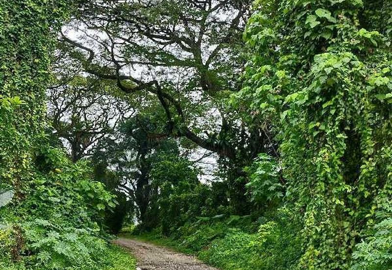 JALAN RAJA MUSA AZIZ (JALAN ANDERSON)