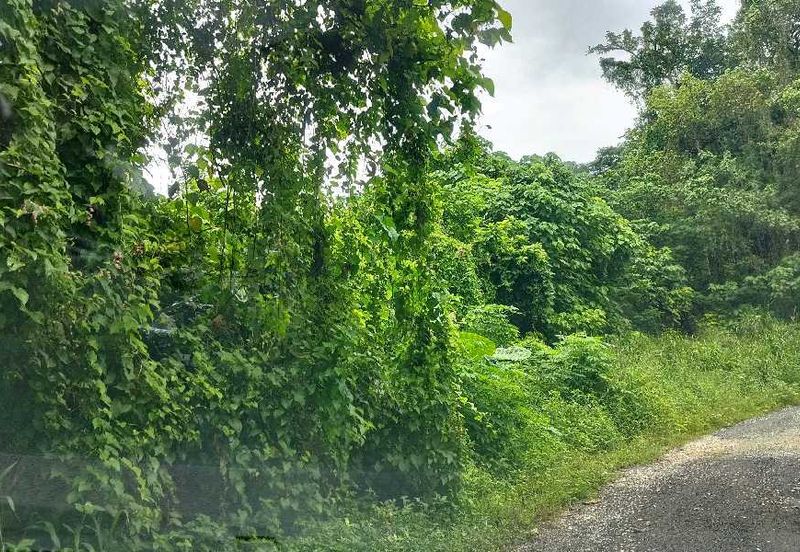 JALAN RAJA MUSA AZIZ (JALAN ANDERSON)