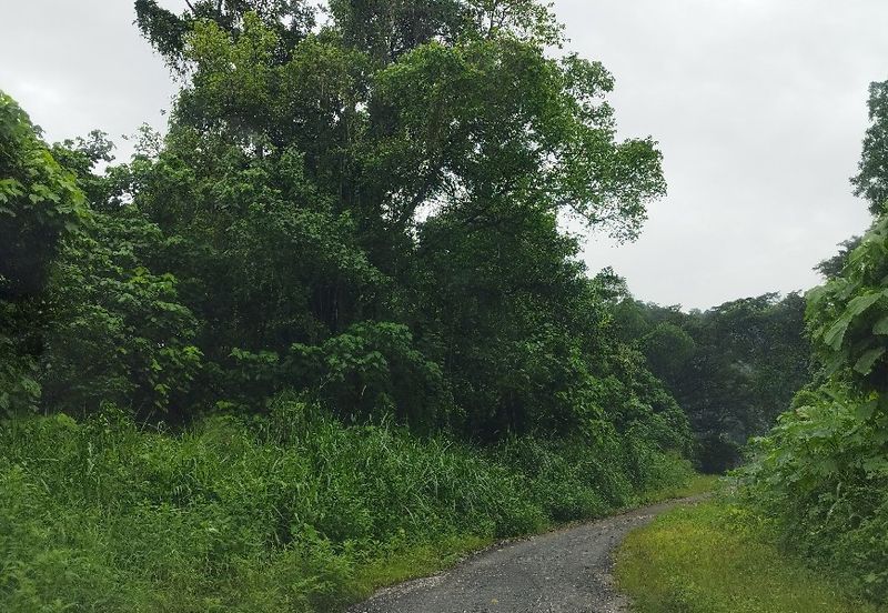 JALAN RAJA MUSA AZIZ (JALAN ANDERSON)