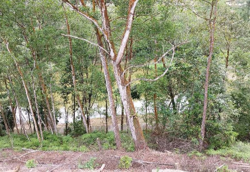 MERU VALLEY RESORT (GOLFVIEW TERRACE)