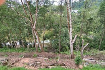 MERU VALLEY RESORT (GOLFVIEW TERRACE)