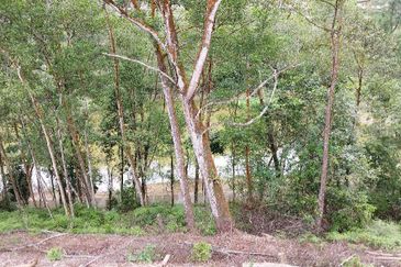 Meru Valley Golf Resort