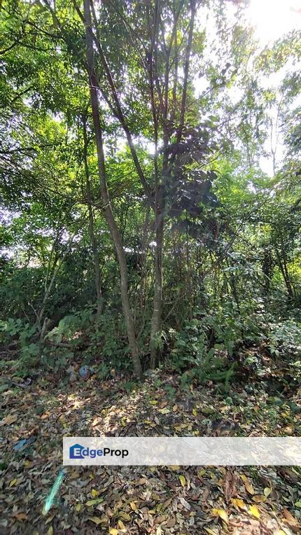Simpang Pulai Freehold Below MV  Facing Main Road Commercial  lands, Perak, Ipoh