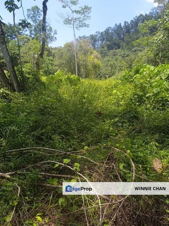 Gopeng Agricultural Land  For Sale, Perak, Kampar