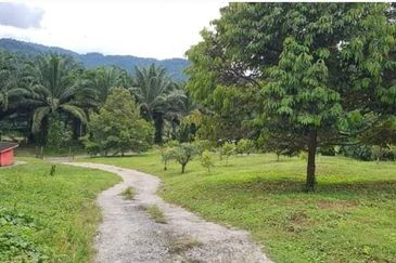 Tapah Perak 551 Acres Freehold Agriculture land For Sale
