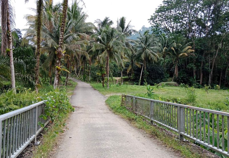 Tapah Perak 551 Acres Freehold Agriculture land For Sale