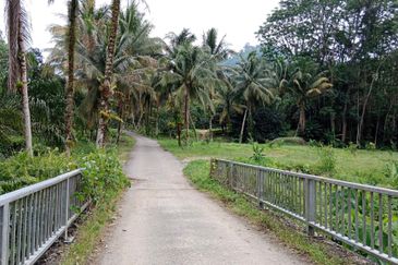 Tapah Perak 551 Acres Freehold Agriculture land For Sale