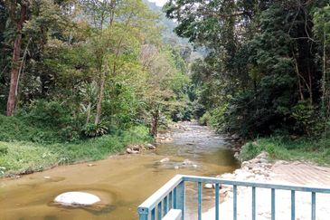 Tapah Perak 551 Acres Freehold Agriculture land For Sale