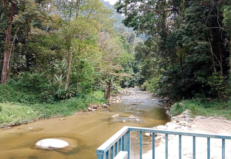 Tapah Perak 551 Acres Freehold Agriculture land For Sale