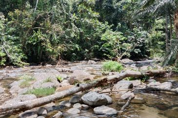 Tapah Perak 551 Acres Freehold Agriculture land For Sale