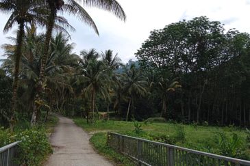 Tapah Perak 551 Acres Freehold Agriculture land For Sale