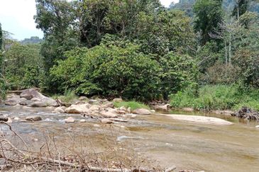 Tapah Perak 551 Acres Freehold Agriculture land For Sale