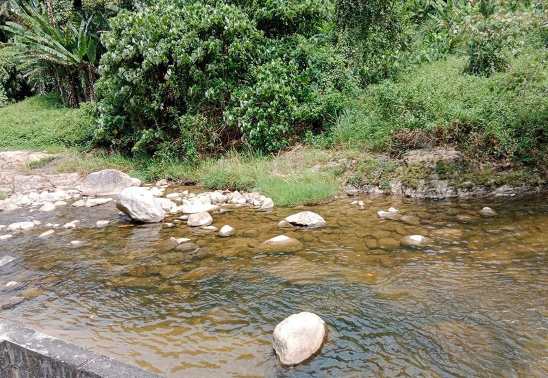 Tapah Perak 551 Acres Freehold Agriculture land For Sale