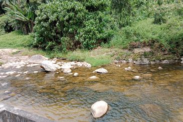 Tapah Perak 551 Acres Freehold Agriculture land For Sale