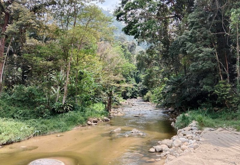 Tapah Perak 551 Acres Freehold Agriculture land For Sale