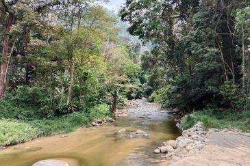 Tapah Perak 551 Acres Freehold Agriculture land For Sale