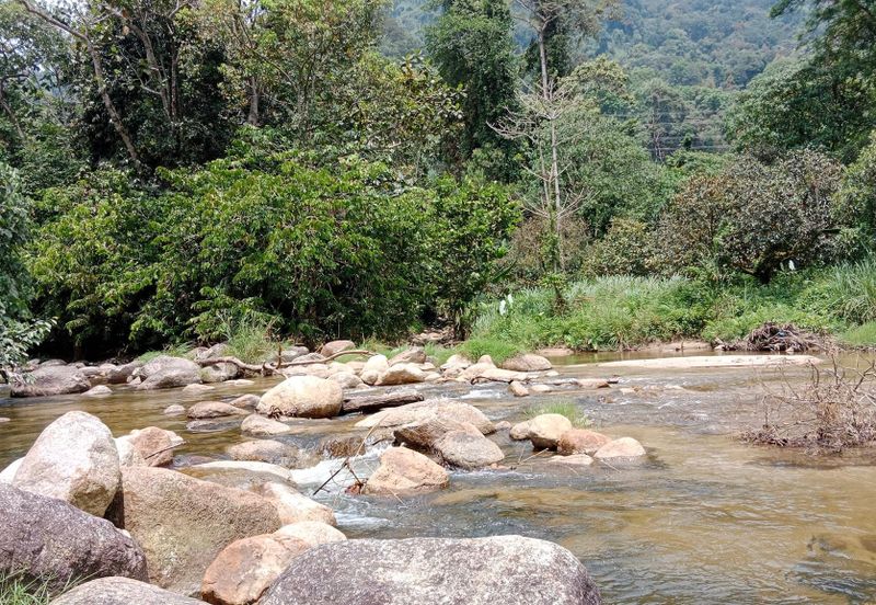 Tapah Perak 551 Acres Freehold Agriculture land For Sale